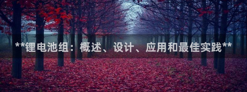 尊龙 10：**锂电池组：概述、设计、应