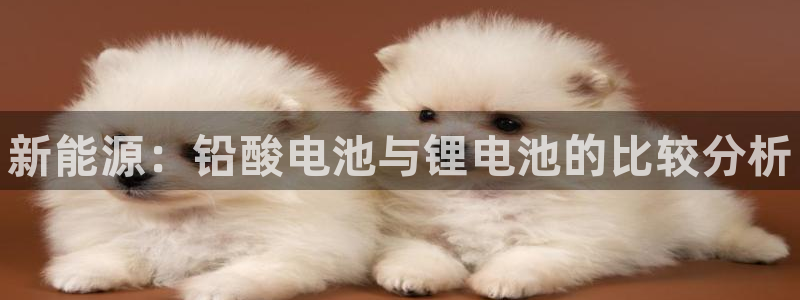 凯时k8官网首页