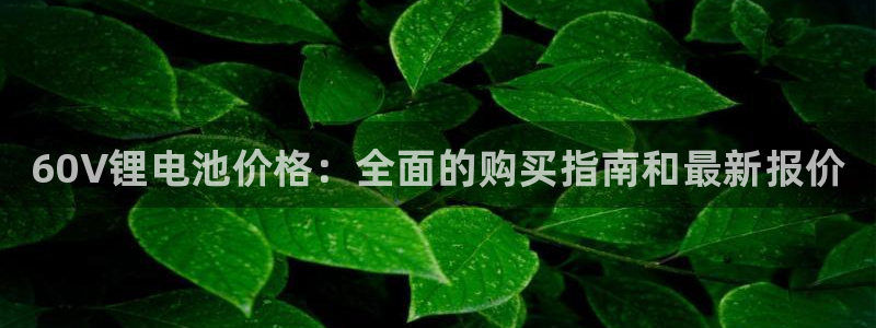 尊龙 5：60V锂电池价格：全面的购买指南和最新报价