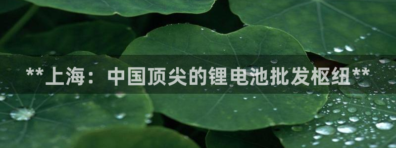 尊龙凯时俱乐部：**上海：中国顶尖的锂电池批发枢纽**