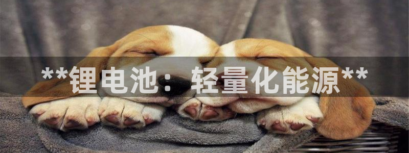 尊龙官方网站首页：**锂电池：轻量化能源**