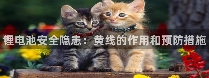 尊龙凯时提款冻卡吗：锂电池安全隐患：黄线的作用和预防措施