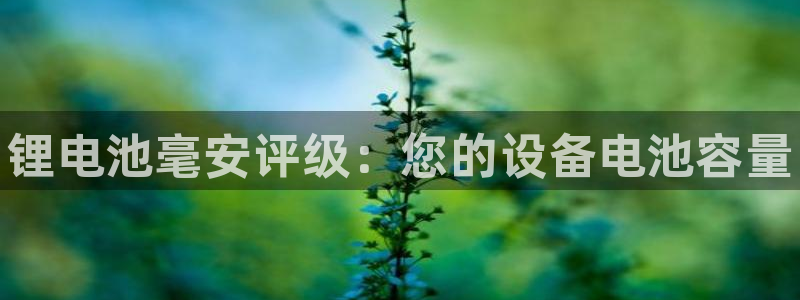 尊龙凯时代理官网入口：锂电池毫安评级：您的设备电池容量