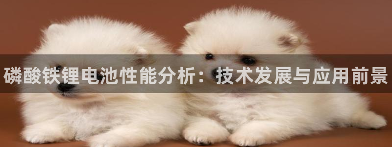 尊龙新版app首页