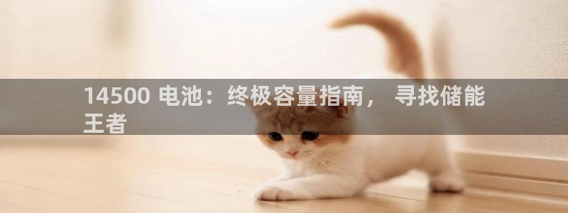 尊龙 贴吧：14500 电池：终极容量指南， 寻找储能
王者