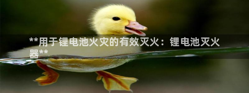 尊龙凯时z6官网：**用于锂电池火灾的有