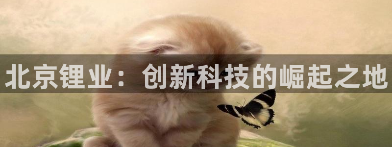 尊龙手机客户端app