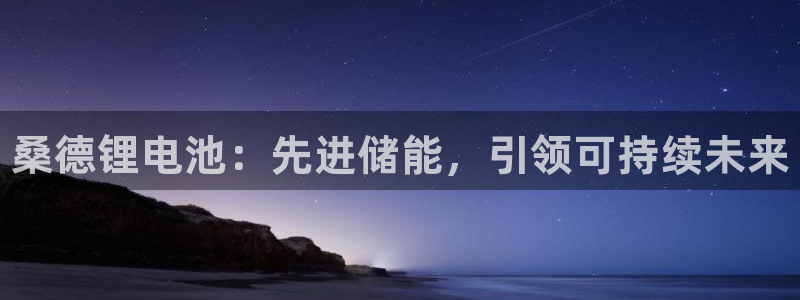 尊龙现在：桑德锂电池：先进储能，引领可持续未来