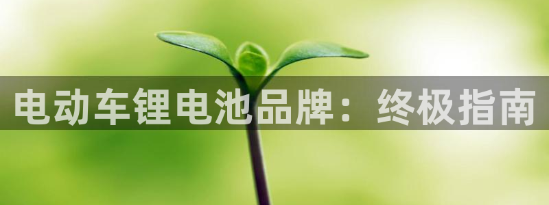 尊龙凯时是不是合法