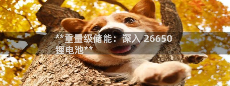 尊龙t300和t400哪个好：**重量级储能：深入 26650 
锂电池**