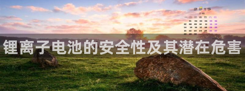 尊龙凯时网站网址