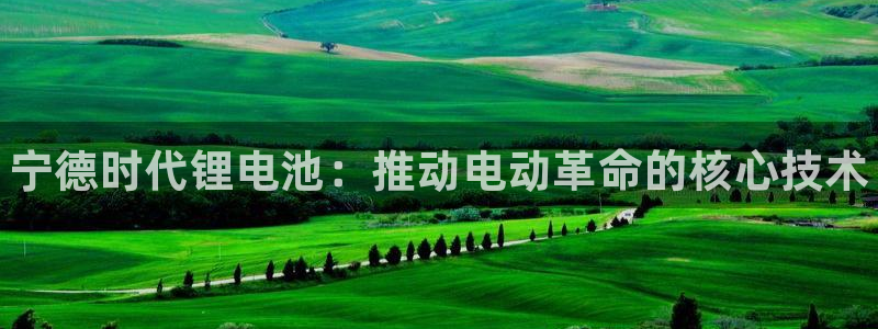 尊龙官网：宁德时代锂电池：推动电动革命的核心技术