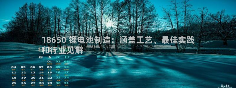 尊龙官网在哪里：18650 锂电池制造：涵盖工艺、最佳实践
和行业见解