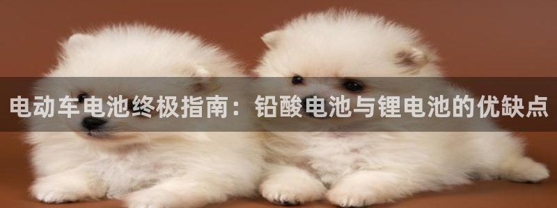 ag尊龙凯时官网：电动车电池终极指南：铅酸电池与锂电池的优缺点