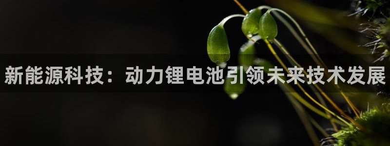 尊龙凯时账号异常审核提不了款怎么办