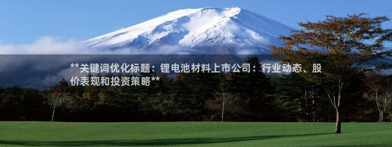 尊龙app登录不了：**关键词优化标题：锂电池材料上市公司：行业动态、股
价表现和投资策略**