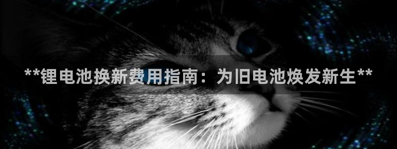 尊龙旗舰厅app：**锂电池换新费用指南：为旧电池焕发新生**