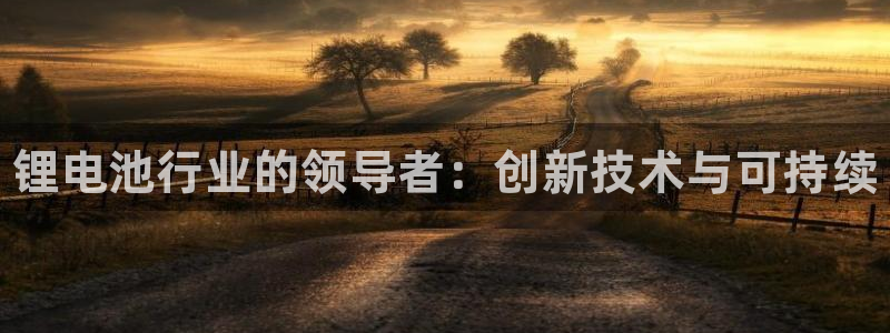 尊龙凯时logo：锂电池行业的领导者：创