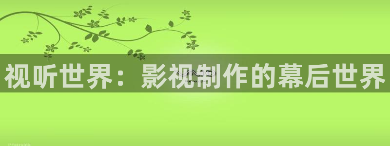 战地影院免费观看完整版电影：视听世界：影视制作的幕后世界