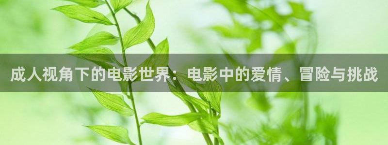 战地影院姐姐的朋友：成人视角下的电影世界：电影中的爱情、冒险与挑战