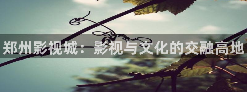 战地影院电影免费高清在线观看：郑州影视城：影视与文化的交融高地