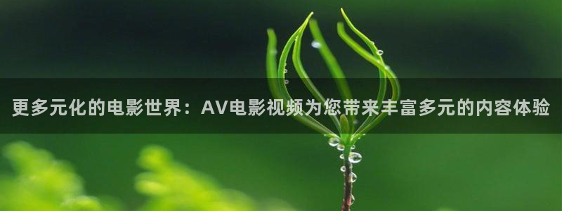 战地影院下载：更多元化的电影世界：AV电影视频为您带来丰富多元的内容体验