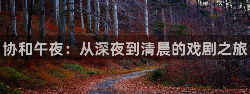 战地影院1080：协和午夜：从深夜到清晨的戏剧之旅