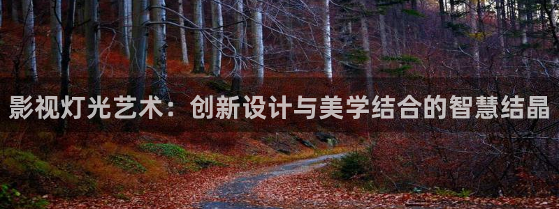 战地影院在线观看：影视灯光艺术：创新设计与美学结合的智慧结晶