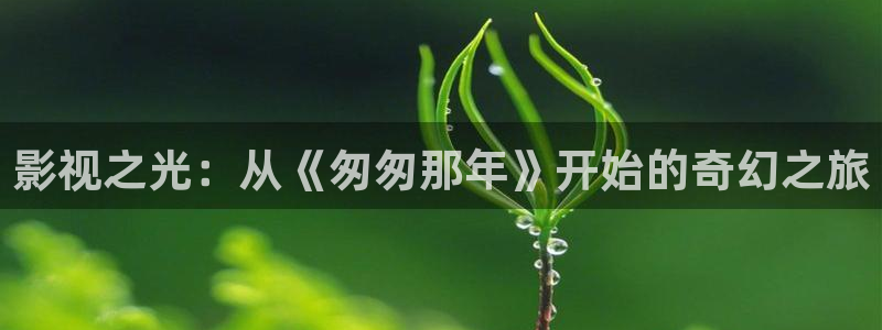 战地影院：影视之光：从《匆匆那年》开始的奇幻之旅