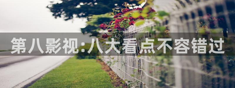 聚会的目的战地影院：第八影视:八大看点不容错过