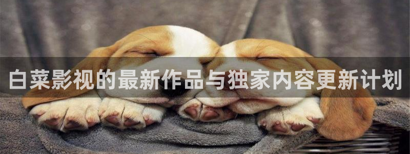 年轻的姐夫战地影院：白菜影视的最新作品与独家内容更新计划